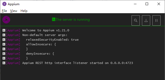 ../_images/appium-server2.png